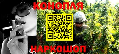 apvp Гатчина