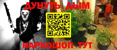 apvp Гатчина