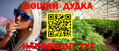 apvp Гатчина