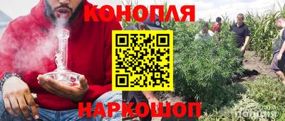 apvp Гатчина