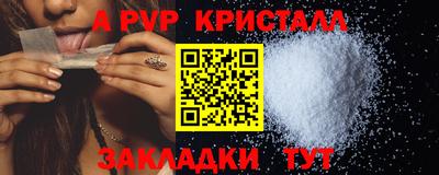 спайс Гай