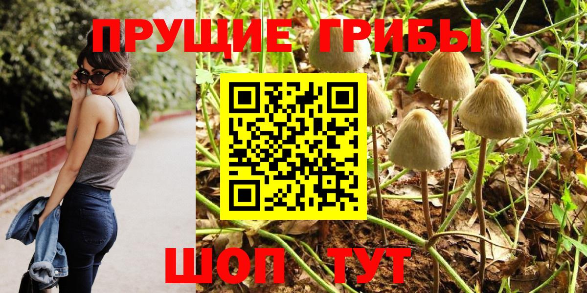 купить  сайты  Вход с VPN  Муравленко  Галлюциногенные грибы GOLDEN TEACHER 